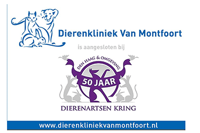 montfoort